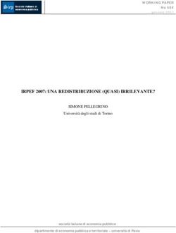 IRPEF 2007: UNA REDISTRIBUZIONE (QUASI) IRRILEVANTE? - SIMONE PELLEGRINO Universit&agrave; degli studi di Torino