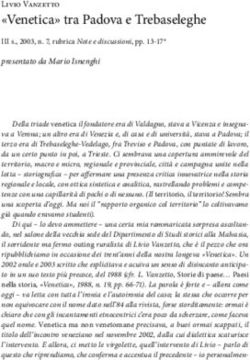 "Venetica" tra Padova e Trebaseleghe - Livio Vanzetto