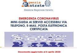 EMERGENZA CORONAVIRUS MINI-GUIDA AI SERVIZI ACCESSIBILI VIA TELEFONO, E-MAIL ,POSTA ELETTRONICA CERTIFICATA - Direzione Regionale Veneto ...