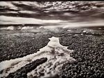 Sebastião Salgado, Amazonia - Diatomea.net