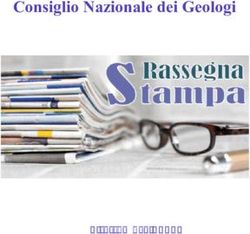 Consiglio Nazionale dei Geologi - 4 settembre 2020 - Consiglio Nazionale dei ...