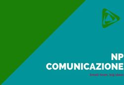 NP COMUNICAZIONE Small team, big ideas