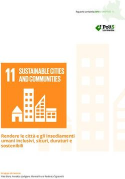 Rendere le citt&agrave; e gli insediamenti umani inclusivi, sicuri, duraturi e sostenibili - Gruppo di ricerca