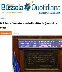 Ddl Zan affossato, una bella vittoria (ma solo a metà) - GENDER WATCH Ddl Zan 30-10-2021