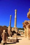 Di nuovo in Tunisia - adenium soluzioni di viaggio - tours accompagnati 2019