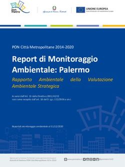 Report di Monitoraggio Ambientale: Palermo - Rapporto Ambientale Ambientale Strategica - PON Metro