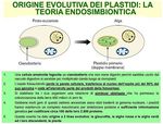 I Plastidi - DST Unisannio