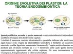 I Plastidi - DST Unisannio