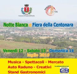 Notte Bianca e Fiera della Centonara - Venerdì 12 - Sabato 13 - Domenica 14 luglio 2019 - Proloco Ozzano