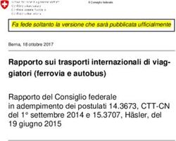 Rapporto sui trasporti internazionali di viag-giatori (ferrovia e autobus) - Der Bundesrat admin.ch