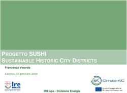 PROGETTO SUSHI SUSTAINABLE HISTORIC CITY DISTRICTS - Francesca Verardo IRE spa - Divisione Energia - IRE Liguria