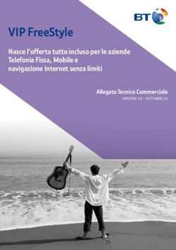 VIP FreeStyle Nasce l'offerta tutto incluso per le aziende Telefonia Fissa, Mobile e navigazione Internet senza limiti