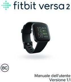 Manuale dell'utente Versione 1.1