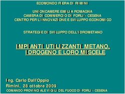 IMPIANTI UTILIZZANTI METANO, IDROGENO E LORO MISCELE