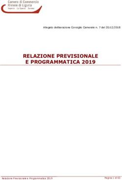 RELAZIONE PREVISIONALE E PROGRAMMATICA 2019 - Camere di ...