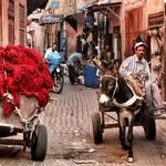 Primavera a Marrakech - Con visita dell'Oasi di Ouarzazate - La Cometa dell'Arte