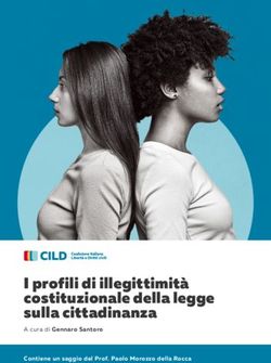 I profili di illegittimit&agrave; costituzionale della legge sulla cittadinanza - A cura di Gennaro Santoro