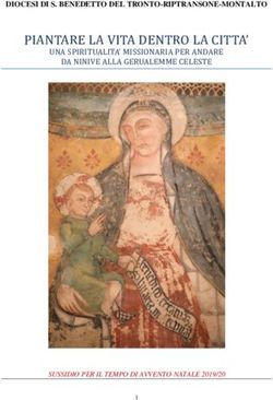 PIANTARE LA VITA DENTRO LA CITTA' - UNA SPIRITUALITA' MISSIONARIA PER ANDARE DA NINIVE ALLA GERUALEMME CELESTE