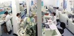 CARTA DEI SERVIZI - Gruppo Data Medica