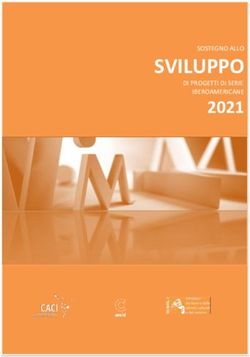 SVILUPPO 2021 SOSTEGNO ALLO DI PROGETTI DI SERIE IBEROAMERICANE - Programa ...