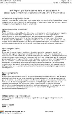 BIP-Report (interpretazione delle 14 scale del BIP)