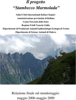 Il progetto "Stambecco Marmolada" - Italian ...
