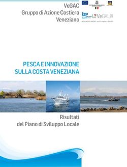 PESCA E INNOVAZIONE SULLA COSTA VENEZIANA - VEGAC GRUPPO DI AZIONE COSTIERA VENEZIANO - RISULTATI DEL PIANO DI SVILUPPO LOCALE - VEGAL