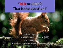 Or That is the question!" - IIS LUIGI CASTIGLIONI