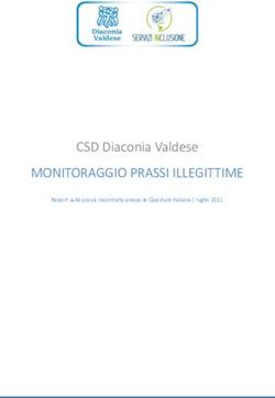 MONITORAGGIO PRASSI ILLEGITTIME - CSD Diaconia Valdese Report sulle prassi riscontrate presso le Questure italiane | luglio 2021