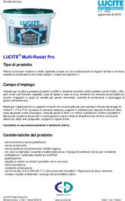 LUCITE Multi-Resist Pro Tipo di prodotto