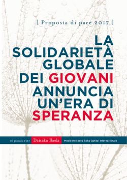 LA SOLIDARIET&Agrave; GLOBALE DEI GIOVANI ANNUNCIA UN'ERA DI SPERANZA - PROPOSTA DI PACE 2017