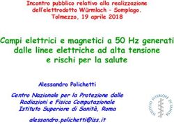 Campi elettrici e magnetici a 50 Hz generati dalle linee elettriche ad alta tensione e rischi per la salute