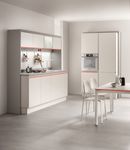 Ambientecucina 261 NEXT GENERATION - EFFETTI METALLICI - Scavolini