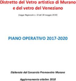 PIANO OPERATIVO 2017-2020 - Distretto del Vetro artistico di Murano e del vetro del Veneziano - Elaborato dal Consorzio Promovetro Murano ...