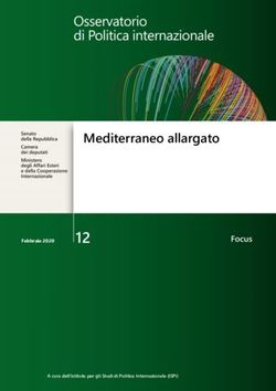 12 Mediterraneo allargato - Ispi