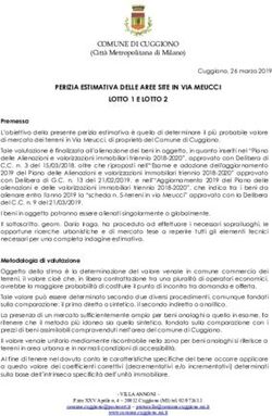 PERIZIA ESTIMATIVA DELLE AREE SITE IN VIA MEUCCI LOTTO 1 E LOTTO 2