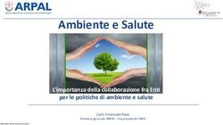 Ambiente e Salute L'importanza della collaborazione fra Enti per le politiche di ambiente e salute - SNPA Ambiente