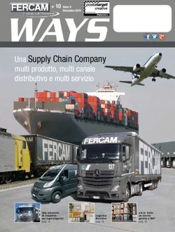 WAYSNE/BZ0226/2008 Una Supply Chain Company - multi prodotto, multi canale distributivo e multi servizio - FERCAM Logistics & Transport
