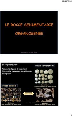 LE ROCCE SEDIMENTARIE ORGANOGENEE - Si originano per: eLearning UNIMIB