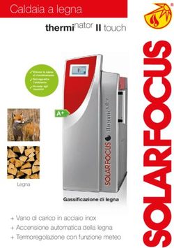 Caldaia a legna thermi nator II touch - SOLARFOCUS