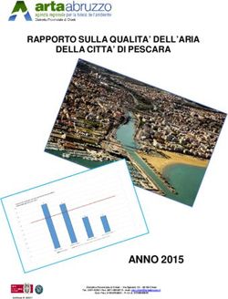ANNO 2015 - RAPPORTO SULLA QUALITA' DELL'ARIA DELLA CITTA' DI PESCARA - ARTA Abruzzo