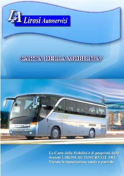 CARTA DELLA MOBILITA' - Lirosi Autoservizi