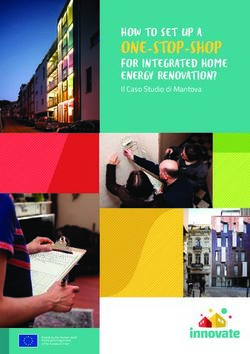 ONE-STOP-SHOP HOW TO SET UP A - Energy Cities