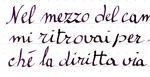 Diamine GRAPE di Giulio Fabricatore - IL PENNOFILO