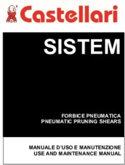 SISTEM FORBICE PNEUMATICA PNEUMATIC PRUNING SHEARS MANUALE D'USO E MANUTENZIONE USE AND MAINTENANCE MANUAL - Sborgia