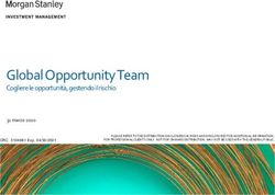 Global Opportunity Team - Cogliere le opportunità, gestendo il rischio - Morgan Stanley