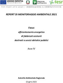 REPORT DI MONITORAGGIO AMBIENTALE 2021 - Focus Asse IV efficientamento energetico