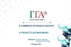 E-COMMERCE IN FRANCIA 2020-2021 IL PROGETTO ICE-MANOMANO - Relatore: Giovanni Sacchi - Agenzia ICE