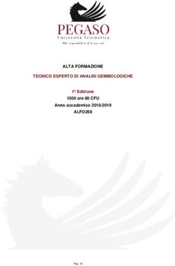 ALTA FORMAZIONE TECNICO ESPERTO DI ANALISI GEMMOLOGICHE ALFO269 - 1&ordf; Edizione 1500 ore 60 CFU Anno accademico 2018/2019 - Piattaforma ...