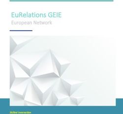 EURELATIONS GEIE EUROPEAN NETWORK - SKILLED INNOVATION